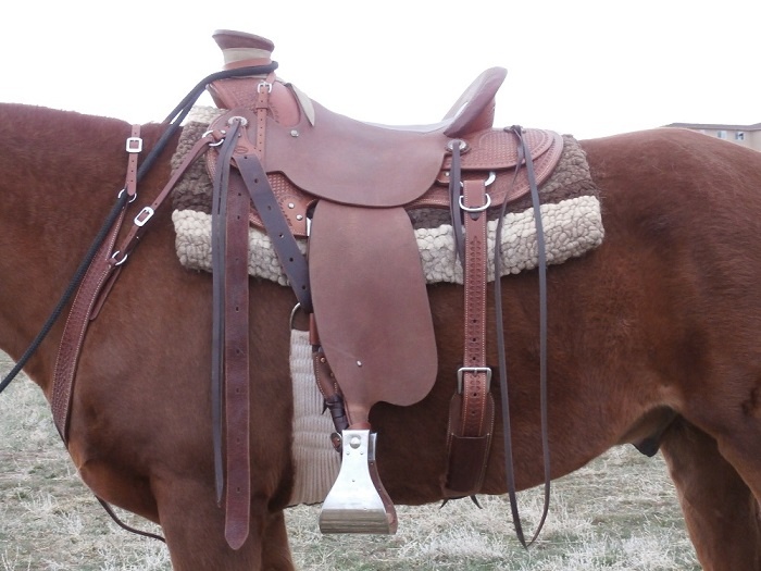 Ferris modeling a hand made wool saddle pad